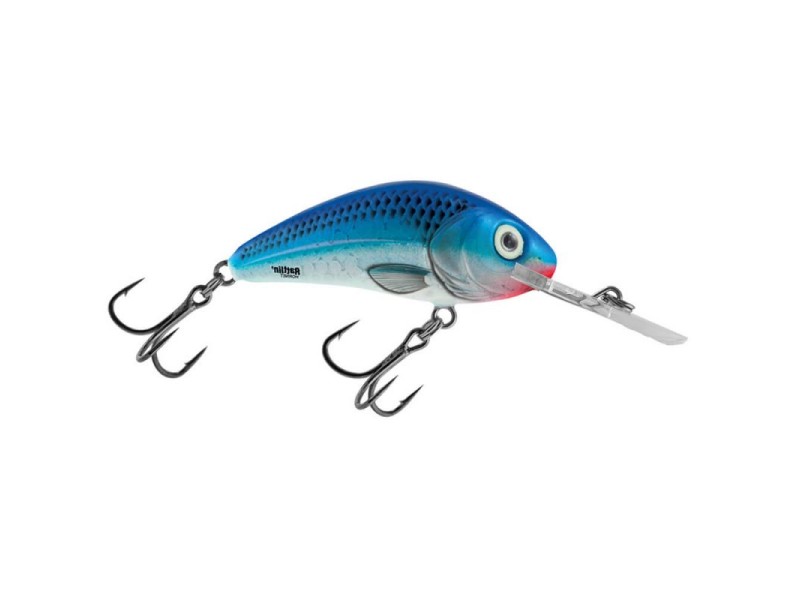 Plug  SALMO RATTLIN HORNET 6,5 CM