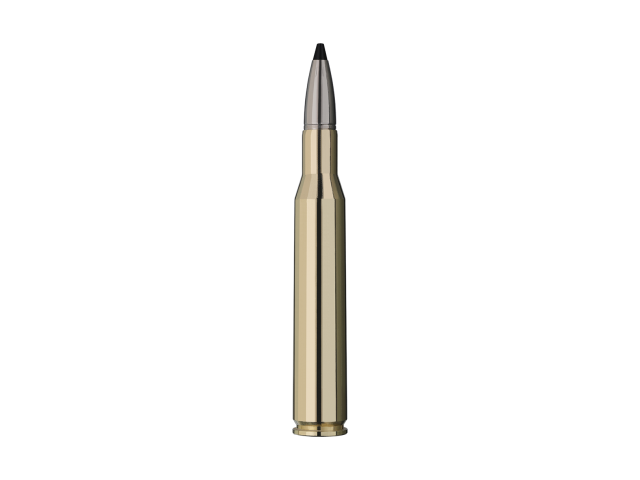 Naboj RWS 270 Win Speed Tip Professional - 9,1g/140gr