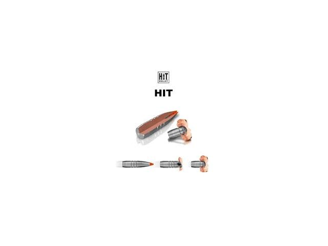 Cartuccia RWS 300 Win. Mag HIT Green - 10,7g/165gr