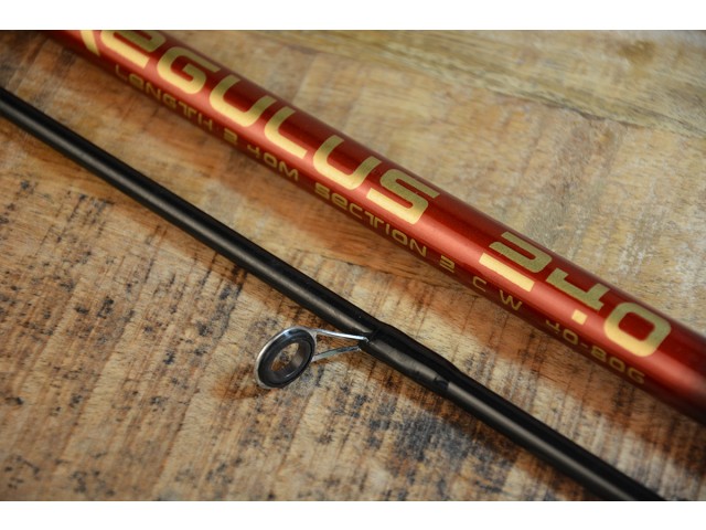 Rib. palica REGULUS Arno Rod - 2,40m/40-80g
