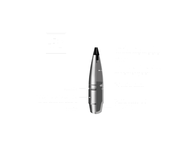 Cartuccia RWS 6,5 Creedmore Speed Tip PRO - 9,1g/140gr