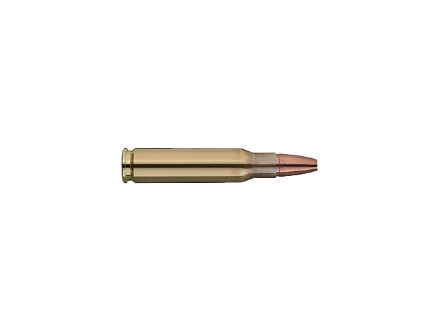 Cartuccia GECO Star 308 WIN - 10,7g/165gr