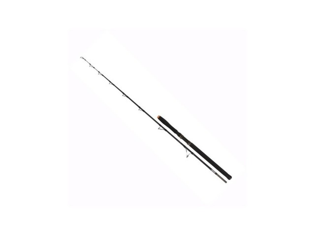 Canna da pesca FIL FISHING Hercules Catfish 1,98m/100-300g
