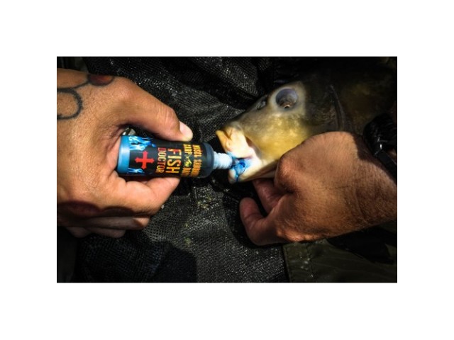 MZCB FISH DOCTOR ANTISEPTIC 40ML