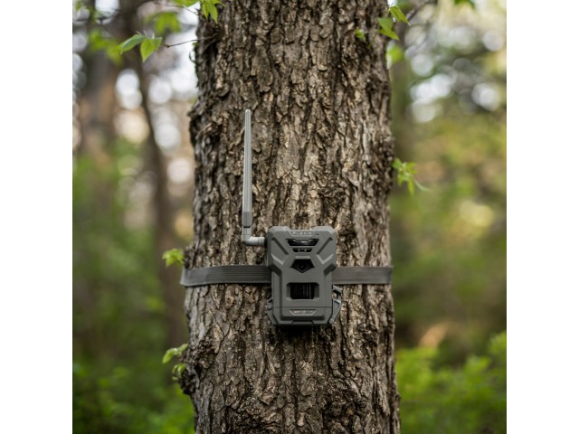 SPYPOINT Flex - M