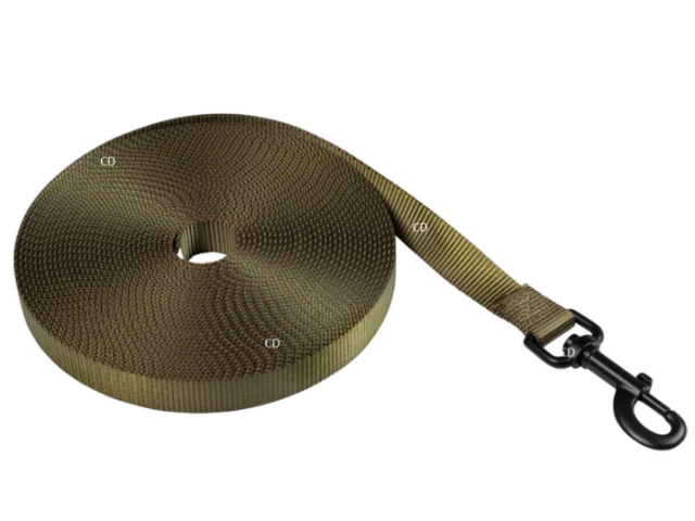 Guinzaglio lungo per cani ESSENTIEL verde - 10m/20 mm