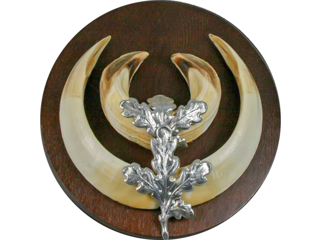 Dekoracija za trofej divljeg vepra OAK LEAVES silver