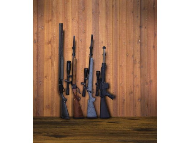 weapon LOCKDOWN