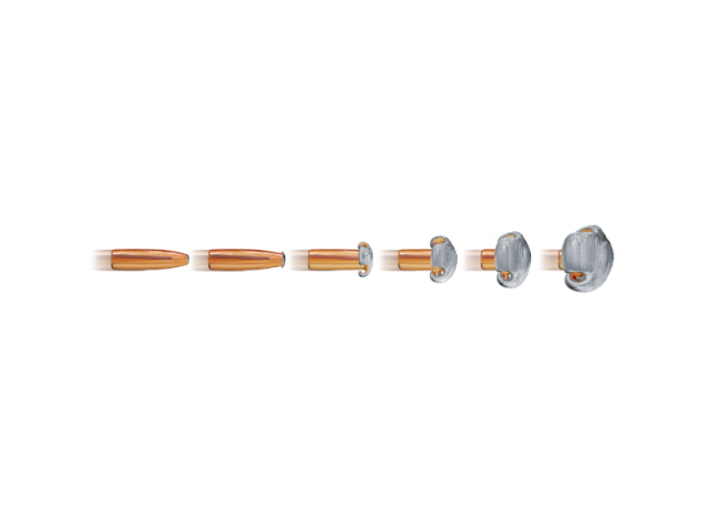 Ammunition NORMA 7x65R ORYX - 11g/170gr