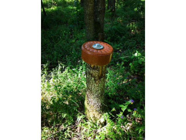 Lecca lecca per selvaggina WILDLUTCHER LECKSTEIN Mais
