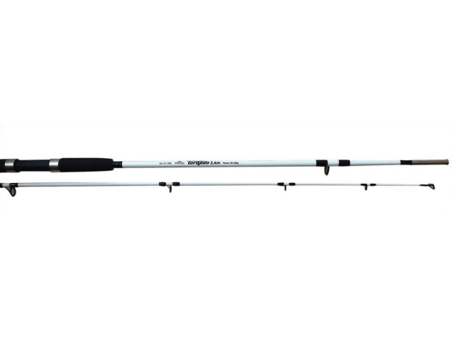 Canna da pesca FIL FISHING Tornado 2,40m / 50-100