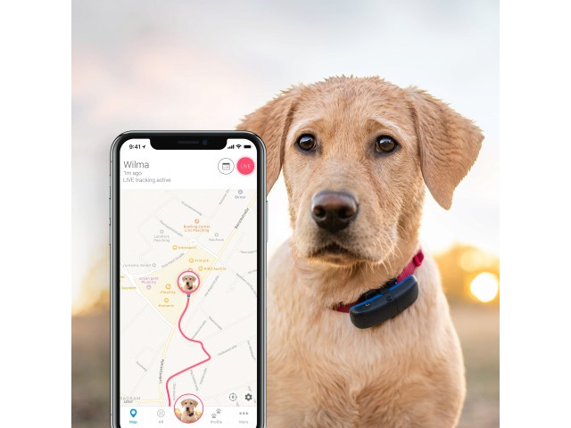 TRACTIVE GPS tracker za domače ljubljenčke in ostalo - sledilec GPS