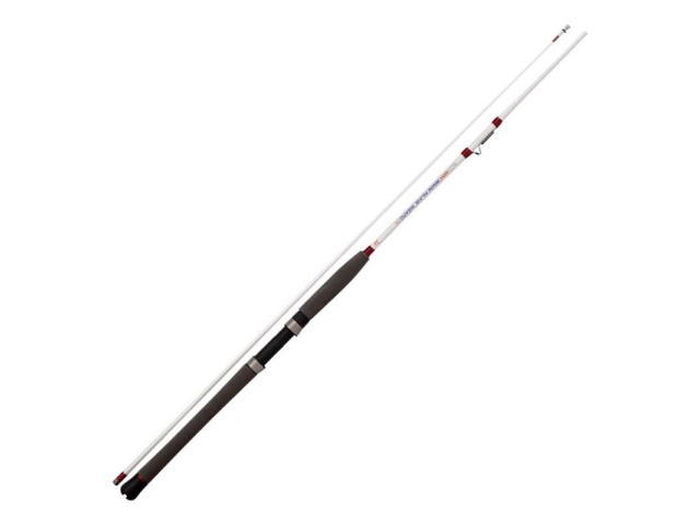 Ribolovna štap RHINO Inline Wizzard Trolling - 2,10m/30-70g