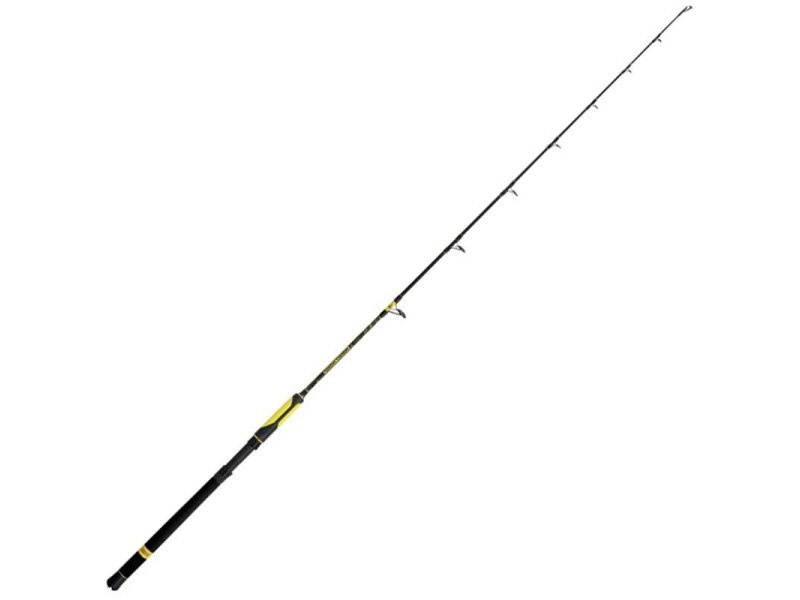 Canna da pesca BLACK CAT 