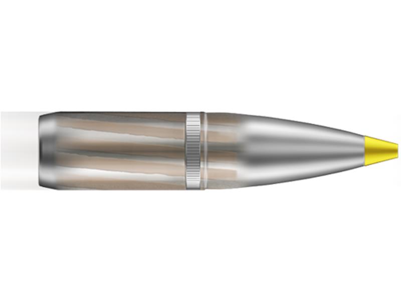 RWS .308 win EVO GREEN 9g
