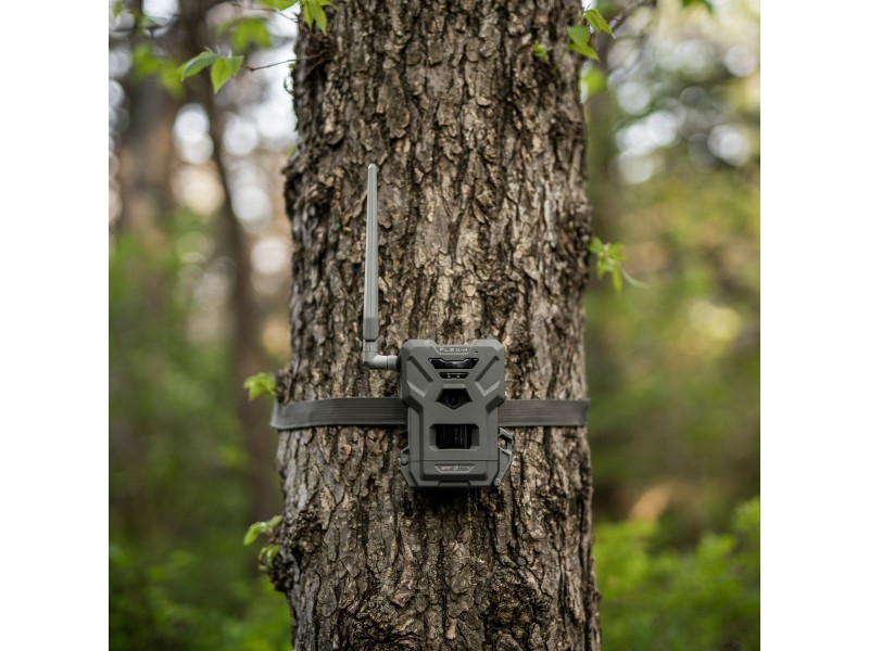 SPYPOINT Flex - M