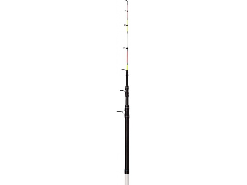 Fishing rod ZEBCO 