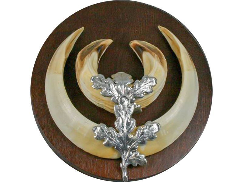 Dekoracija za trofej divljeg vepra OAK LEAVES silver