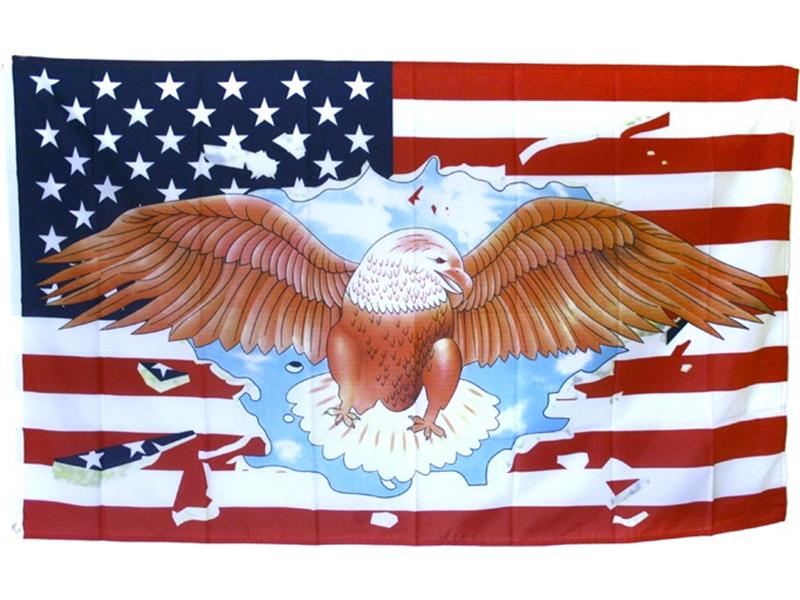 Flag USA with eagle