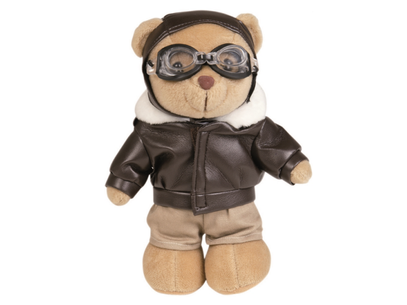 Medvedek Teddy Pilot
