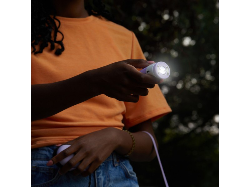 SABRE 3 in 1 Electric Stun Gun (light, stun gun, alarm)